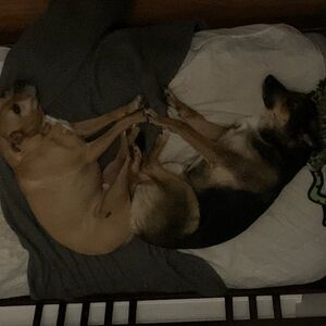 Meet your Posher, Trevor